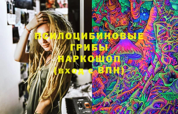 дмт Гусев
