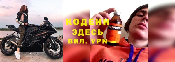 дмт Гусев