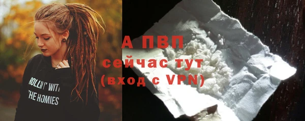 дмт Гусев