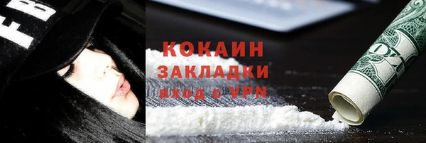 дмт Гусев