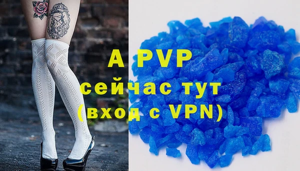 дмт Гусев