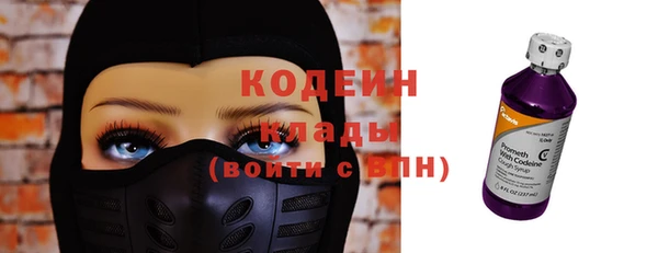 дмт Гусев