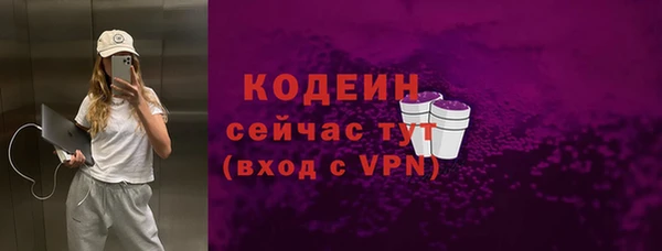 дмт Гусев
