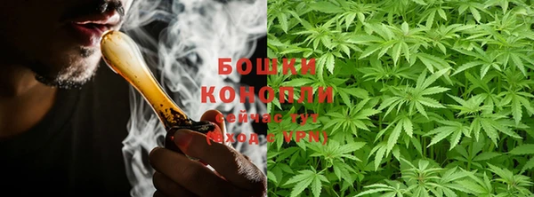 дмт Гусев