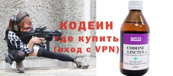 дмт Гусев
